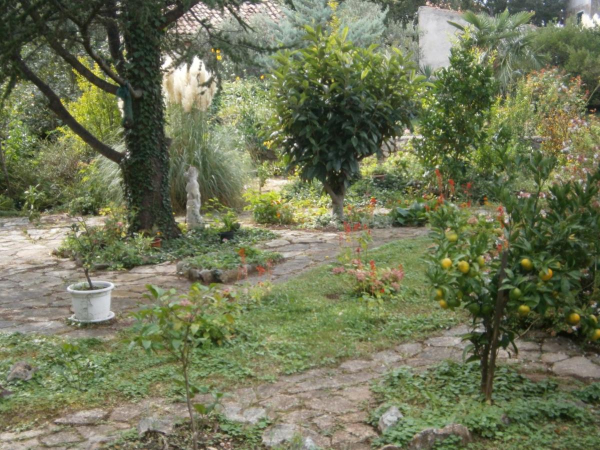 Maria Apartments וודיצה מראה חיצוני תמונה